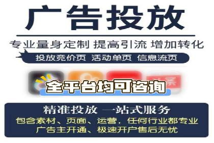 SEM运营公司经典案例点评